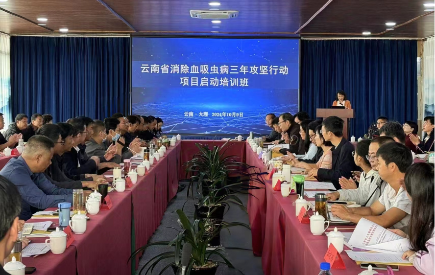 QQ圖片20241012164217